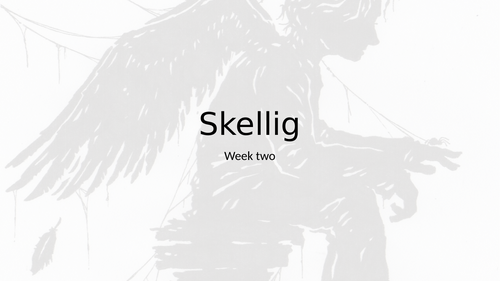 Skellig - KS3