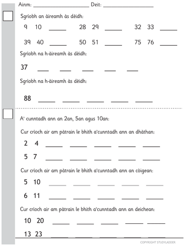 P2/P3 Gaelic maths baseline