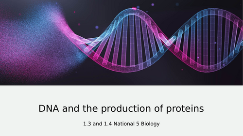 National 5 Biology- 1.3 and 4 DNA and Protein production