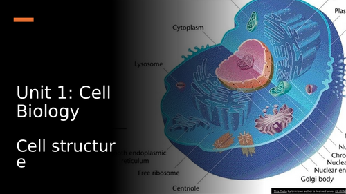 National 5 Biology- Cell Biology- 1.1 Cell structure