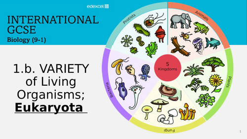 Edexcel Biology IGCSE  VARIETY OF LIVING ORGANISMS EUKARYOTES 1