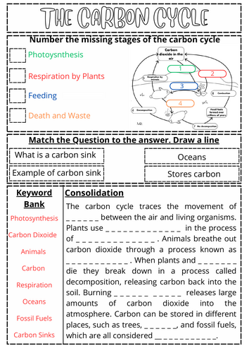 Carbon Cycle Worksheet KS3- LA