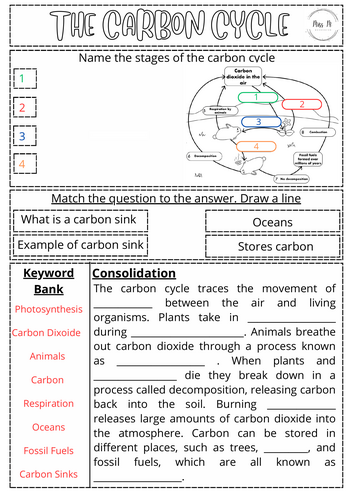 Carbon Cycle Worksheet KS3- LA