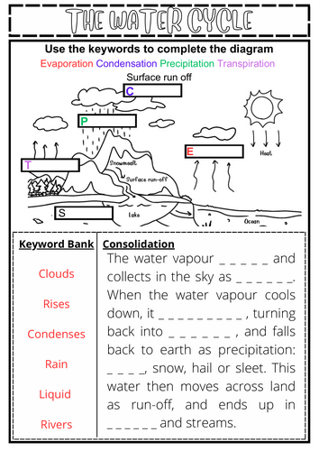 Water Cycle KS3 Worksheet- LA