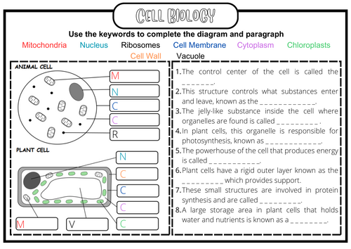 Cell Biology Worksheet KS3- LA