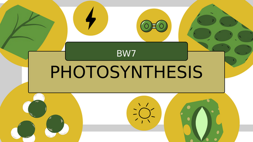 Photosynthesis & Respiration PowerPoint