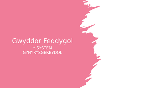 Gwyddor Feddygol - Y System Gyhyrysgerbydol