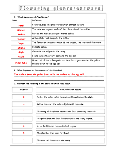 Year 8 - Reproduction - L2 Plants Worksheet