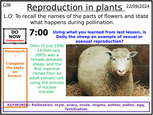 Year 8 - Reproduction - L2 Plants