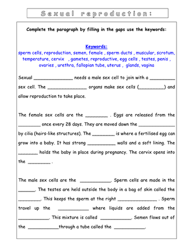 Year 8 - Reproduction - L5 Reproduction in humans (SEN worksheet)