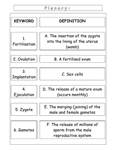 Year 8 - Reproduction - L6  Gametes and Fertilisation in humans (worksheet)