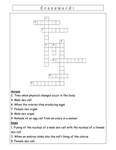 Year 8 - Reproduction - L7 Menstruation Worksheet