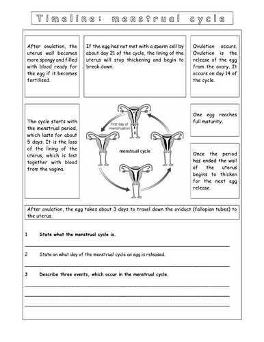 Year 8 - Reproduction - L7 Menstruation Worksheet