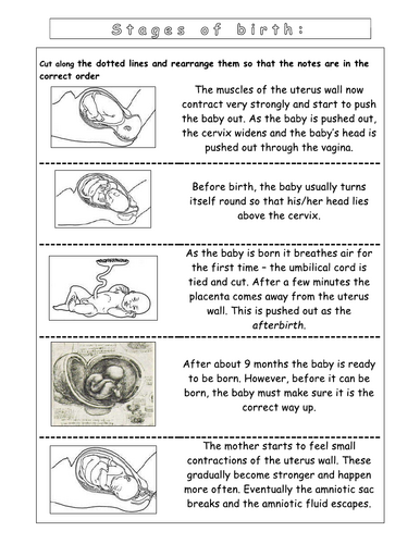 Year 8 - Reproduction - L10 Birth worksheets