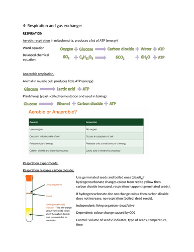 Section 4 notes: gas exchange