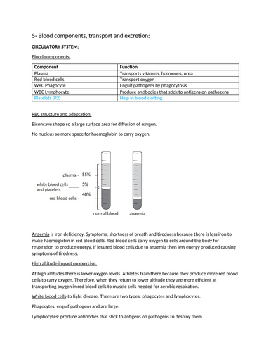 Section 5 notes: Transport/Circulatory system. IGCSE Biology