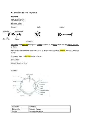 Section 6 notes: Coordination and Response. IGCSE Biology