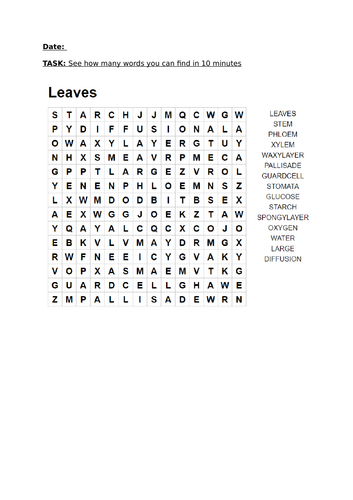 Leaf structure KS3 and KS4