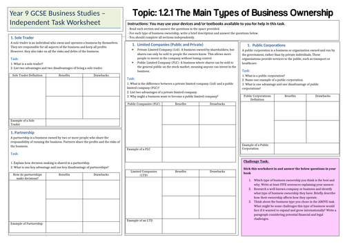 Edexcel IGCSE Business - 1.2.1 Types of organizations Worksheet Task