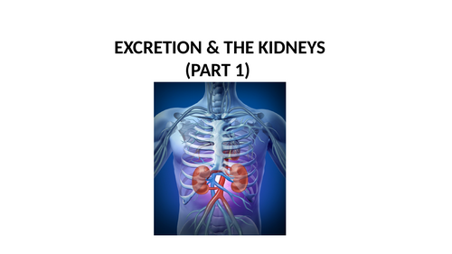 OCR A Level biology A H420 The Kidneys