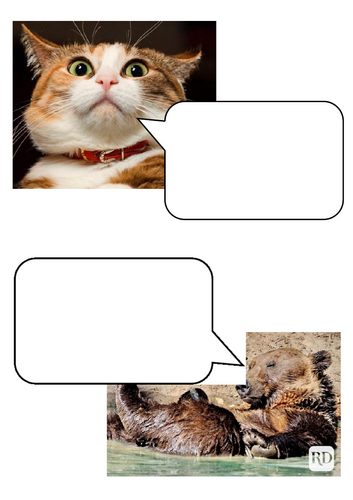 Animal meme speech bubbles for continuous provision