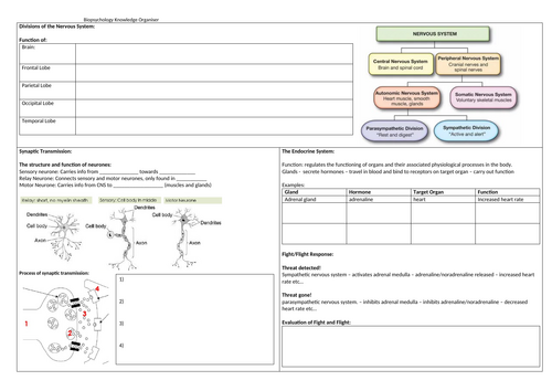 AQA Biopsychology Revision Knowledge Organiser Entire Unit