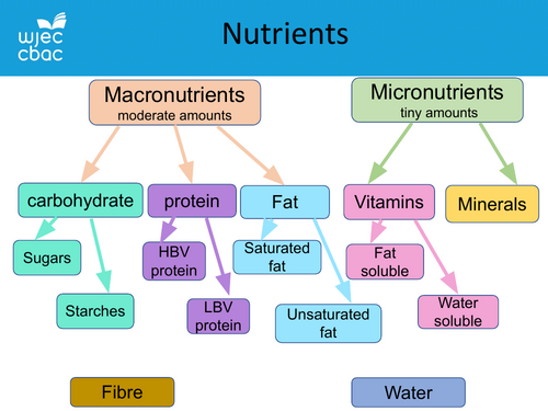 Nutrients WJEC BTEC Hospitality & Catering Revision