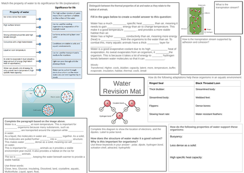 IB Biology Water Revision Mat Worksheet