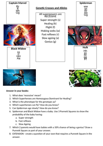 Super Alleles Inheritance Worksheet, Punnett Squares