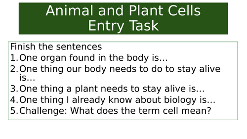 Animal and Plant cells KS3