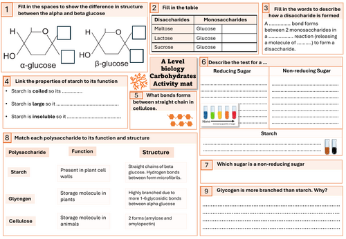 Carbohydrates Activity Mat A Level Biology