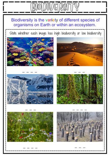 Biodiversity Worksheet- LA