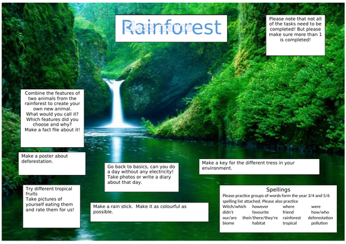 Rainforest Topic Homework