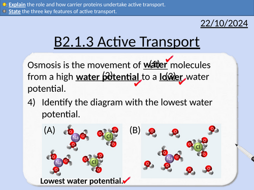 GCSE Biology: Active Transport