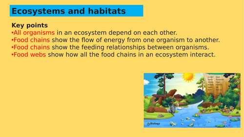 Food chains and Webs