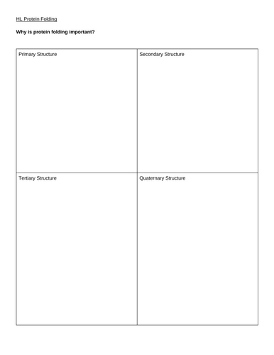 Protein Folding & Structure IB HL/ALevel