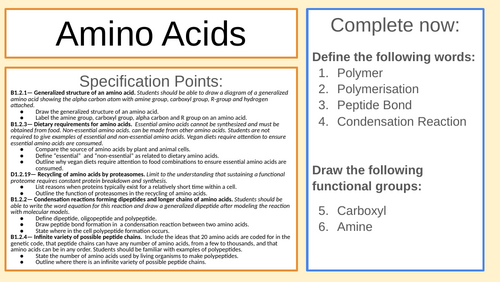 Amino Acids & R Groups IB ALevel Biology