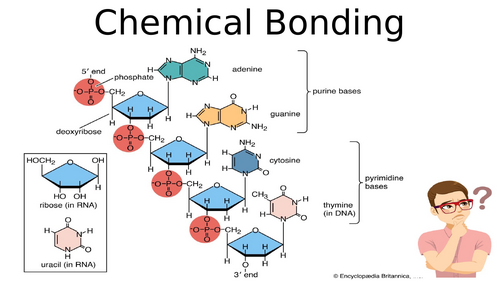 MYP 4 - Chemical bonding