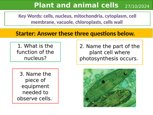 Smart Activate 3 - Plant & animal cells