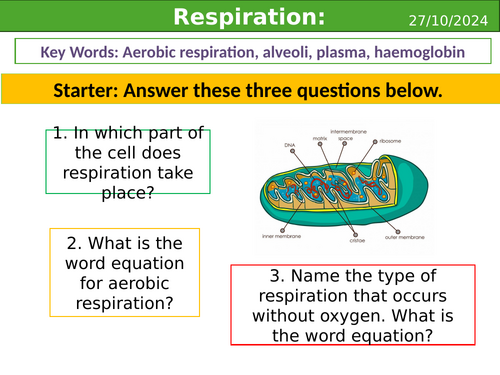 Smart activate 3 - Respiration