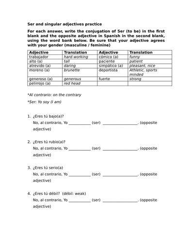 Ser and singular adjectives fill in practice