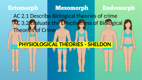 Criminology L3 WJEC Unit 2 ACs 2.1 & 3.2 Describe & Evaluate Sheldon's Physiological