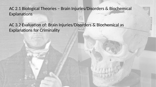 Criminology L3 WJEC UNIT 2 ACs 2.1 & 3.2 Describe & Evaluate Brain Injuries/Disorders