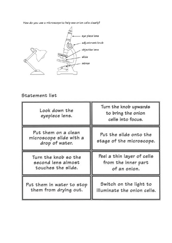 Y7 Cells Revision