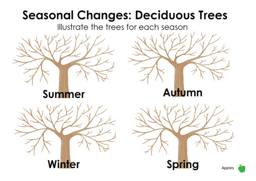 Seasonal Changes