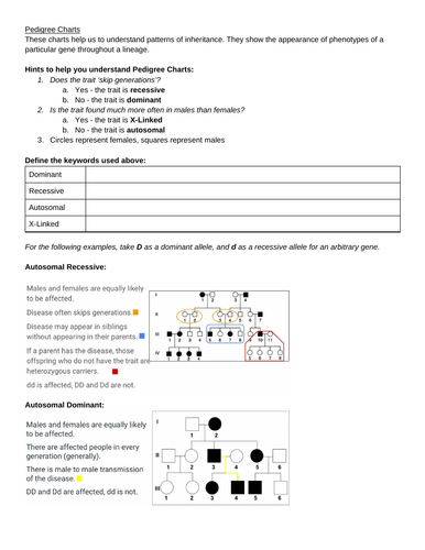 Genetic Pedigree Chart Workbook IB/ALevel