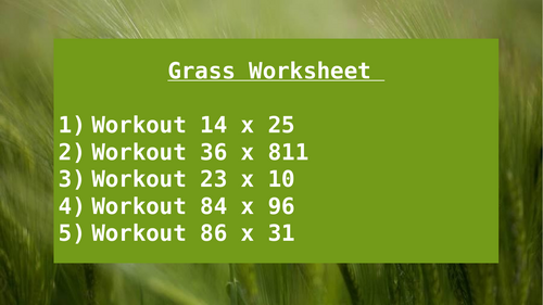 GRASS WORKSHEET 2