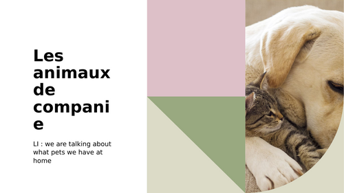 pets / animals French P7 / S1