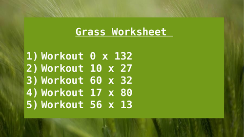 GRASS WORKSHEET 13