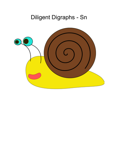 Diligent Digraphs - Sn